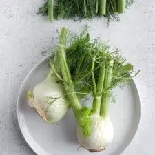 fenouille